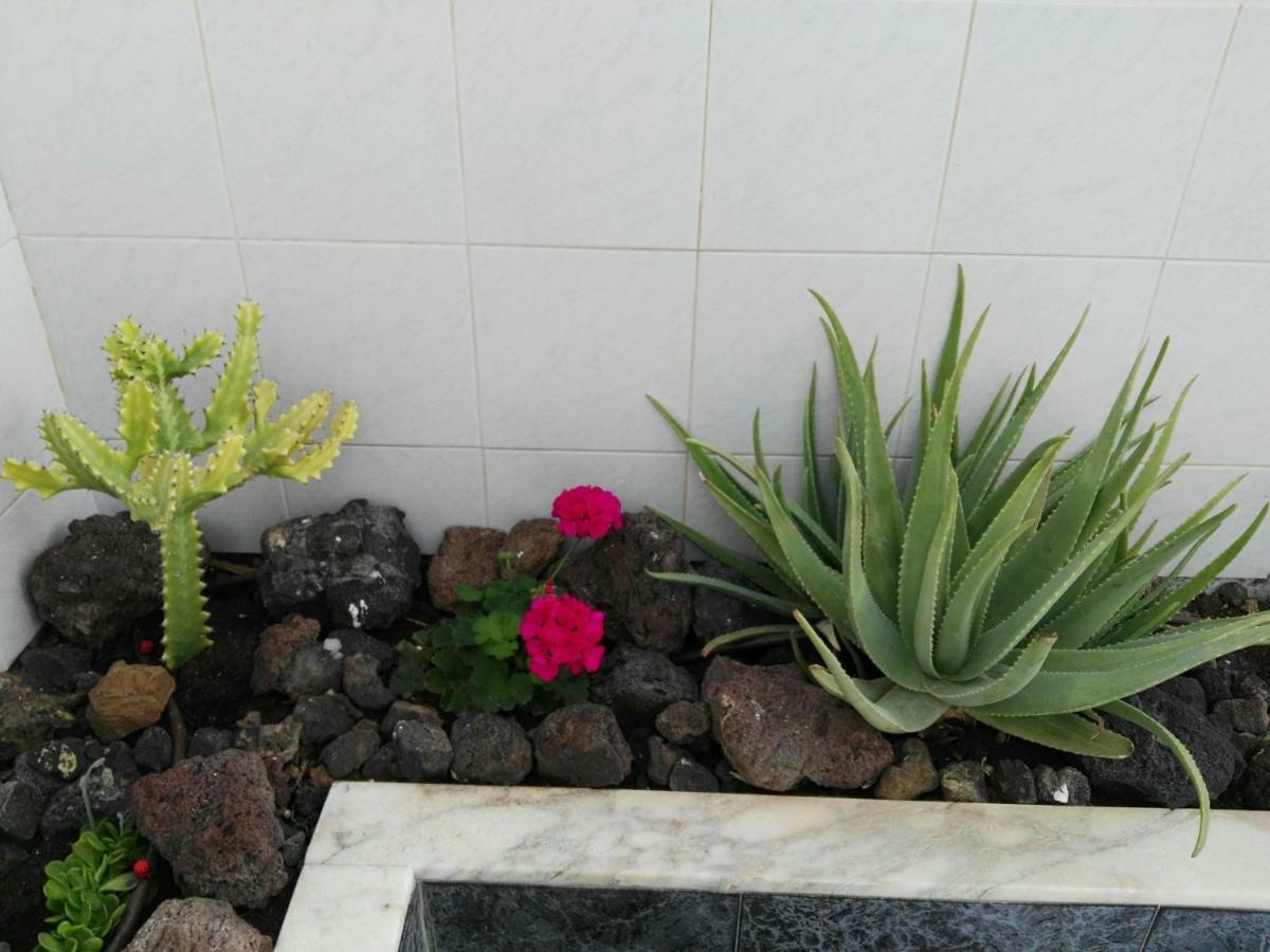 Tenerife Pearl Apartamento Playa de las Americas  Exterior foto
