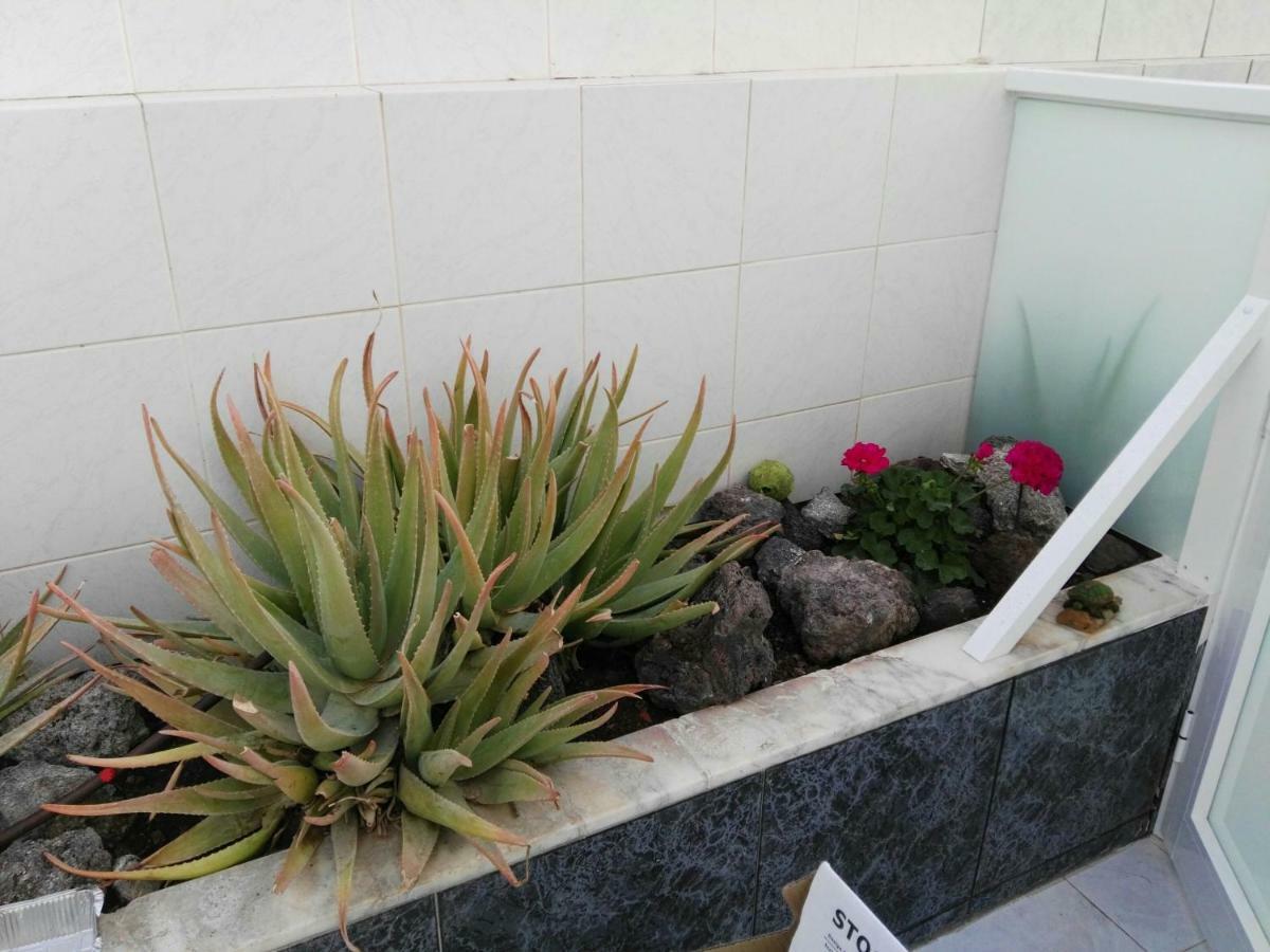 Tenerife Pearl Apartamento Playa de las Americas  Exterior foto